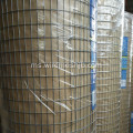 Berkualiti tinggi Welded Wire Mesh Rolls